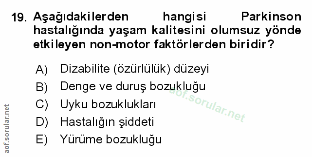 Soru 19