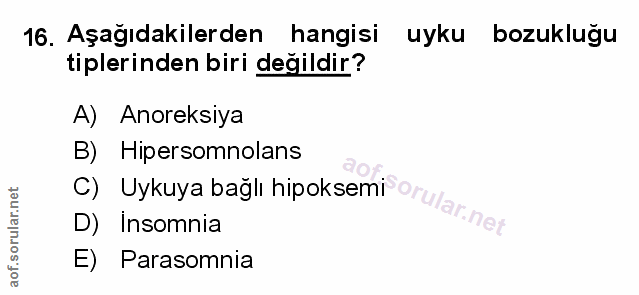 Soru 16