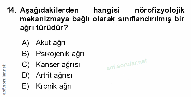 Soru 14
