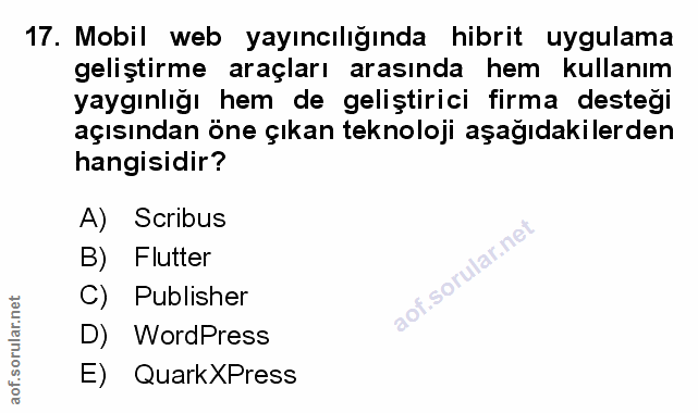 Soru 17