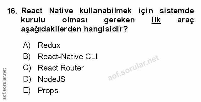 Soru 16