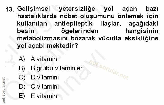 Soru 13