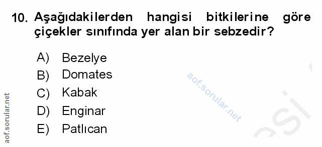 Soru 10
