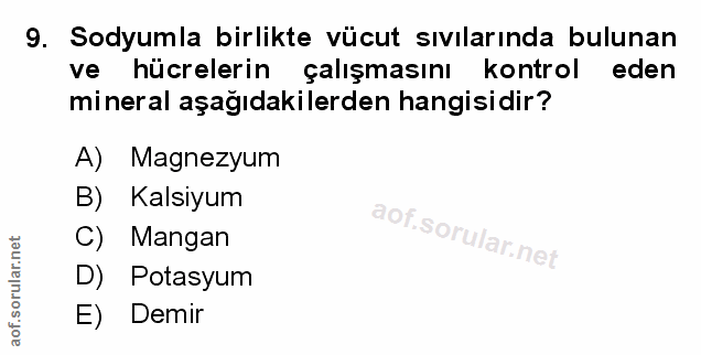 Soru 9