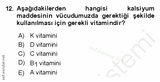 Soru 12