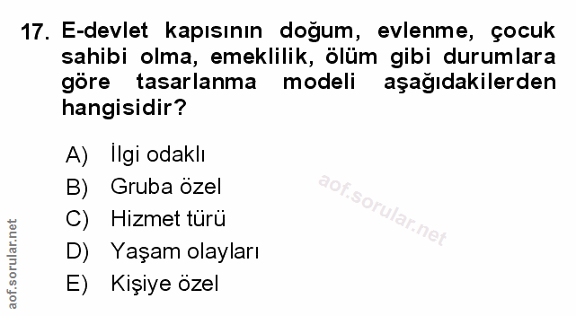 Soru 17