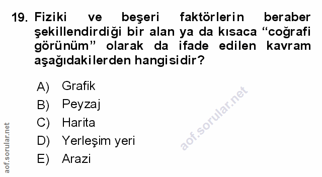 Soru 19