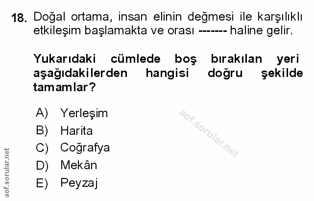 Soru 18
