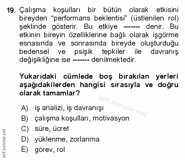 Soru 19
