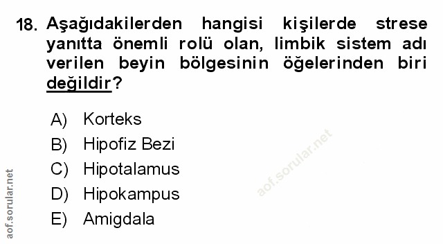 Soru 18