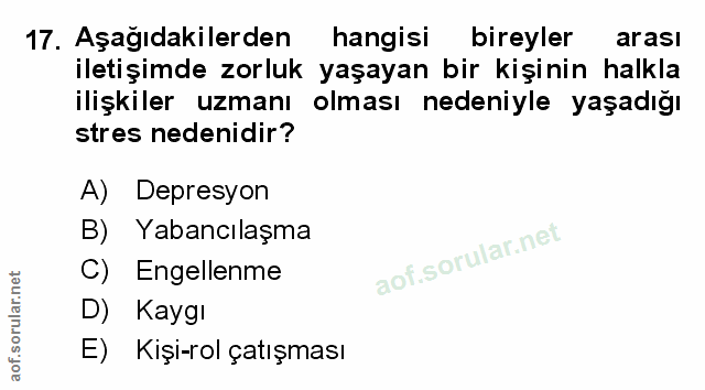 Soru 17