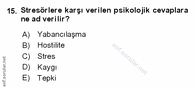 Soru 15