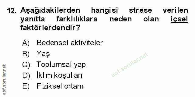 Soru 12
