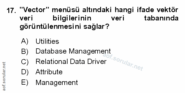 Soru 17