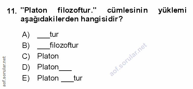 Soru 11