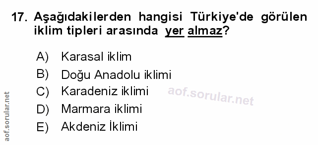 Soru 17