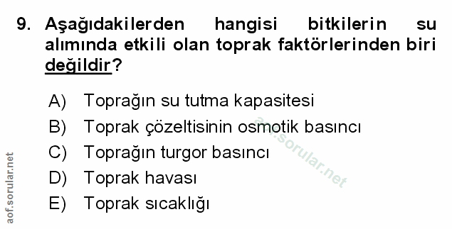 Soru 9