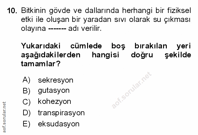 Soru 10
