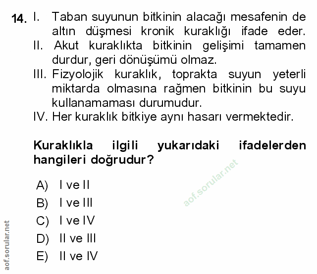 Soru 14