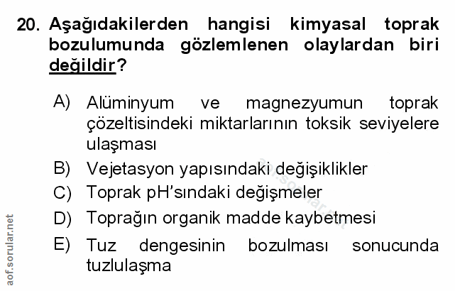 Soru 20