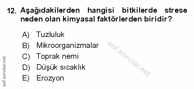 Soru 12