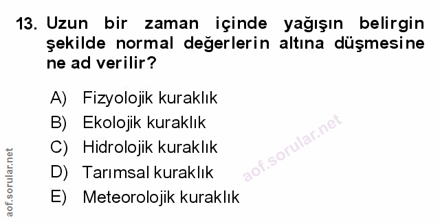 Soru 13