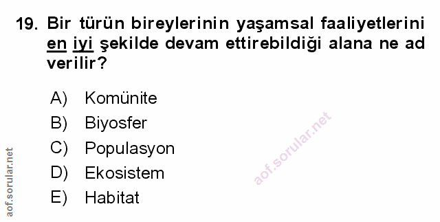Soru 19