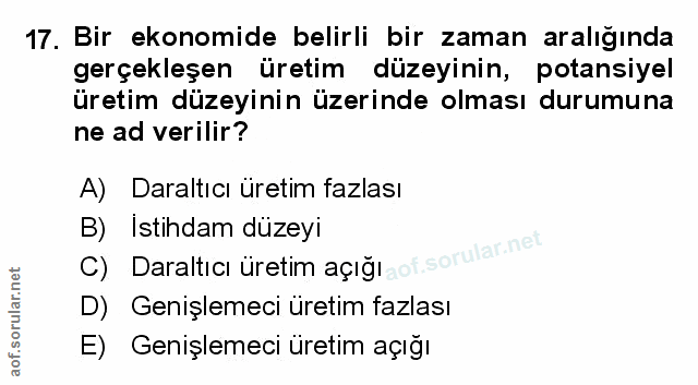 Soru 17