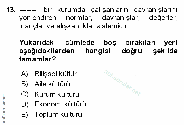 Soru 13