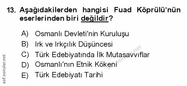Soru 13
