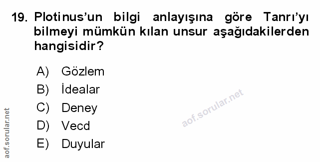 Soru 19