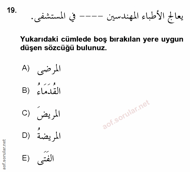 Soru 19
