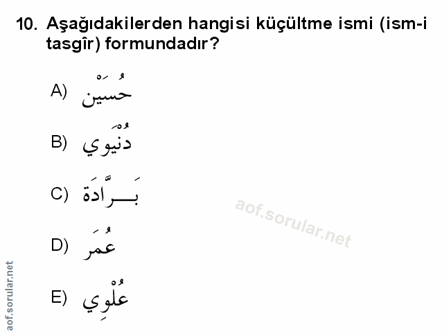 Soru 10