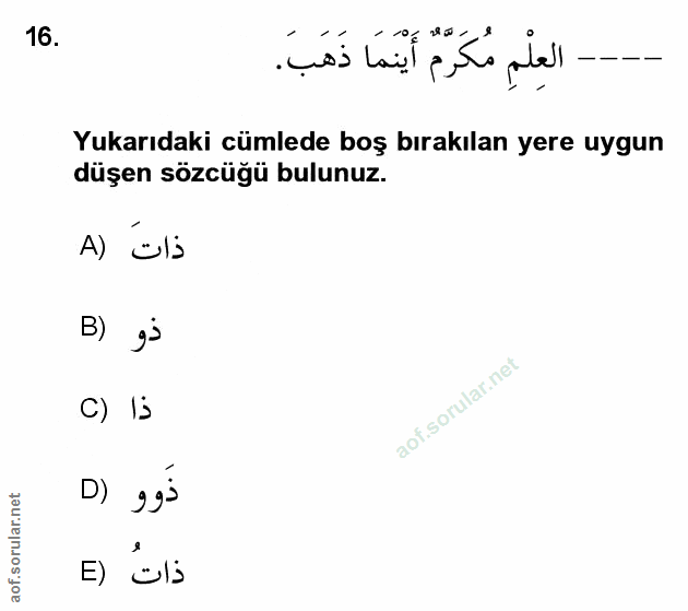 Soru 16