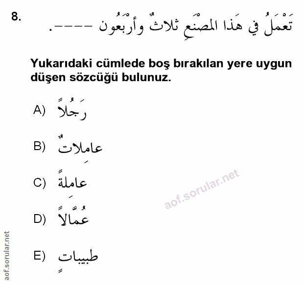 Soru 8