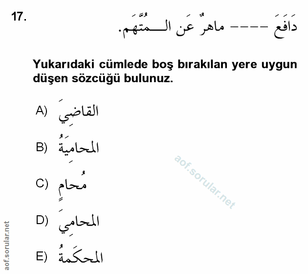 Soru 17