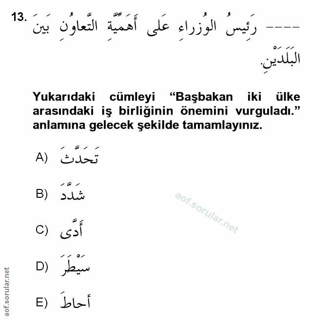 Soru 13