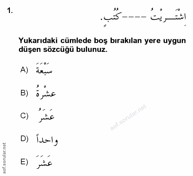 Soru 1