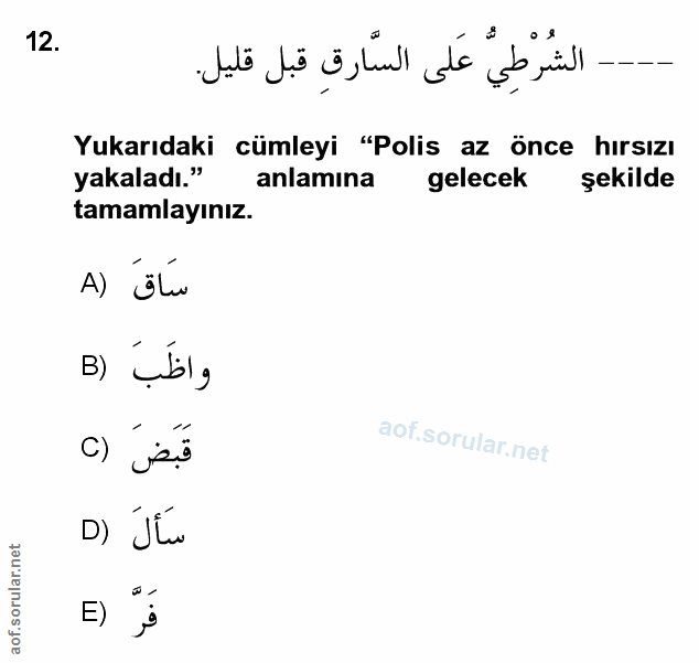 Soru 12