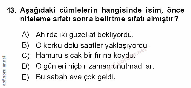 Soru 13