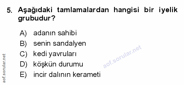 Soru 5