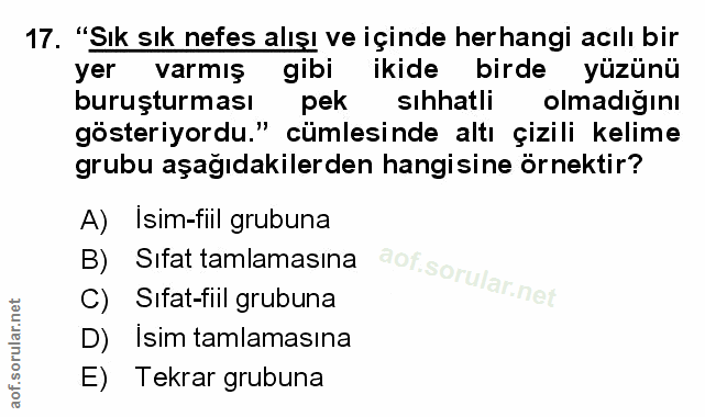 Soru 17