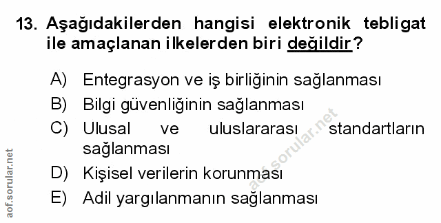 Soru 13
