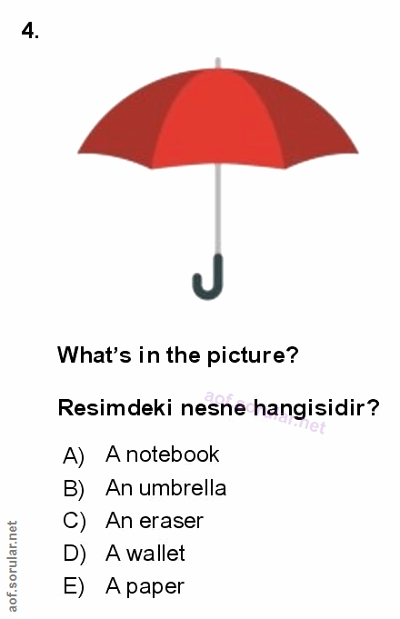 Soru 4