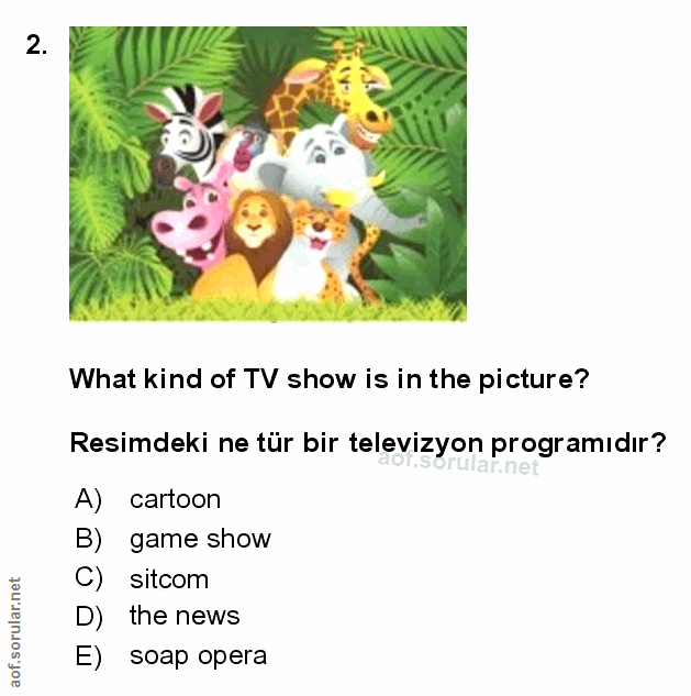 Soru 2