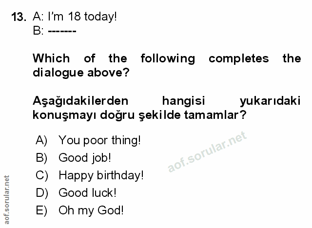 Soru 13