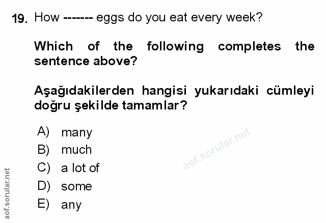 Soru 19