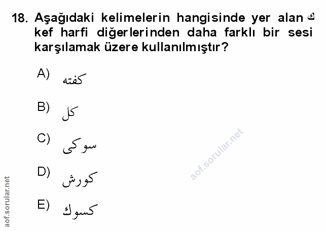 Soru 18