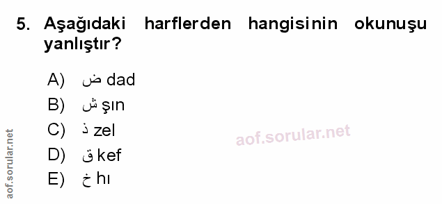 Soru 5