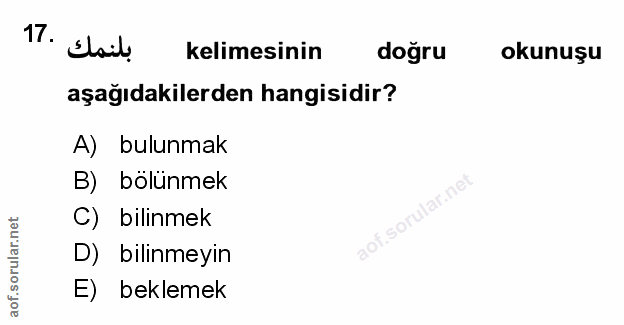 Soru 17